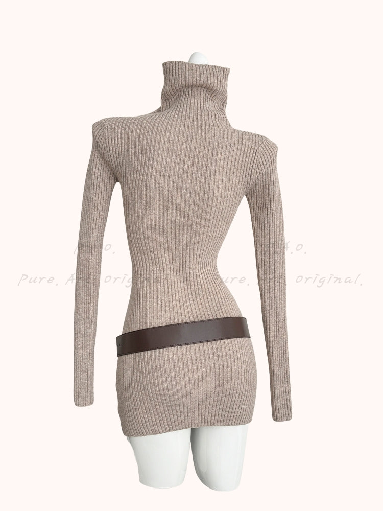 Cozy Silhouette Mini Dress