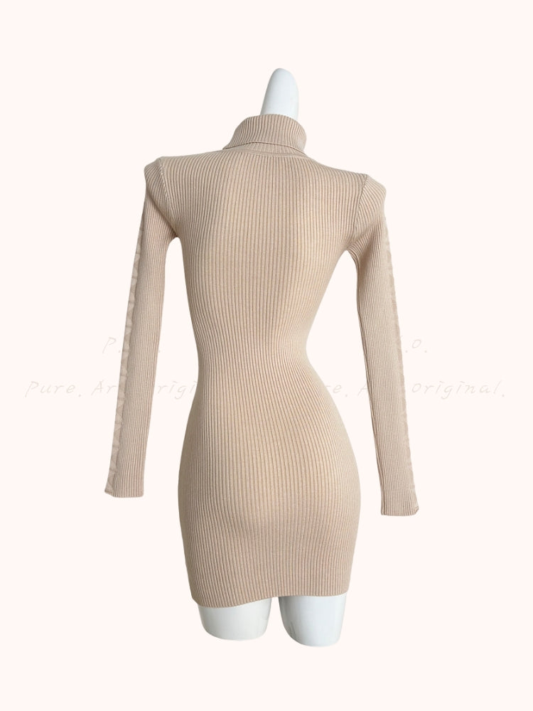 High Neck Knit Bodycon Midi Sweater Dress