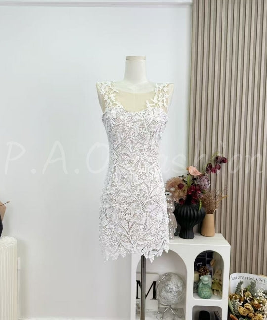 Sleeveless Lace Bodycon Mini Dress