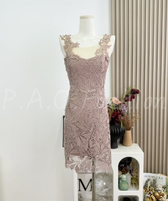 Sleeveless Lace Bodycon Mini Dress