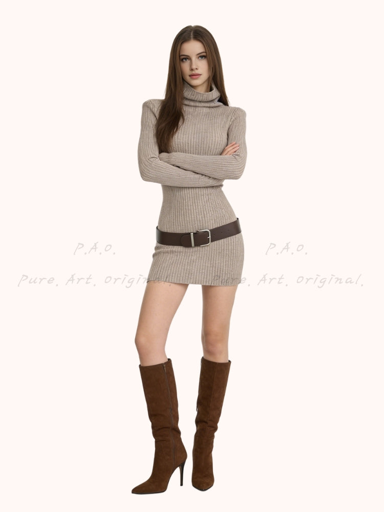 Cozy Silhouette Mini Dress