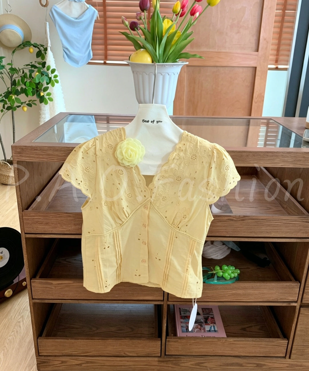 Lace Trim Embroidered Cutwork V-Neck Cropped Blouse