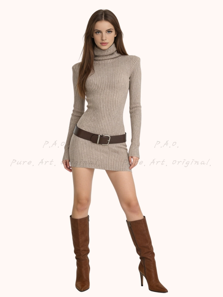 Cozy Silhouette Mini Dress